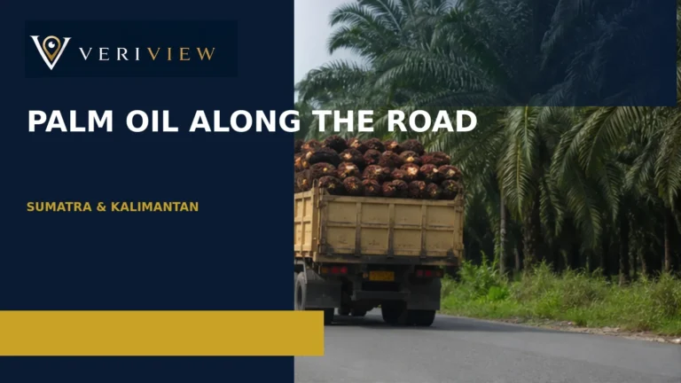 Sampul artikel Veriview tentang truk sawit di jalan lintas Sumatera dan Kalimantan
